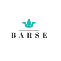 Barse Jewelry screenshot