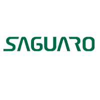 Saguaro Shoes zayan1 screenshot