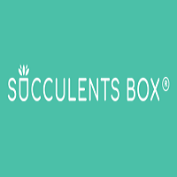 Succulents Box zayan1 screenshot