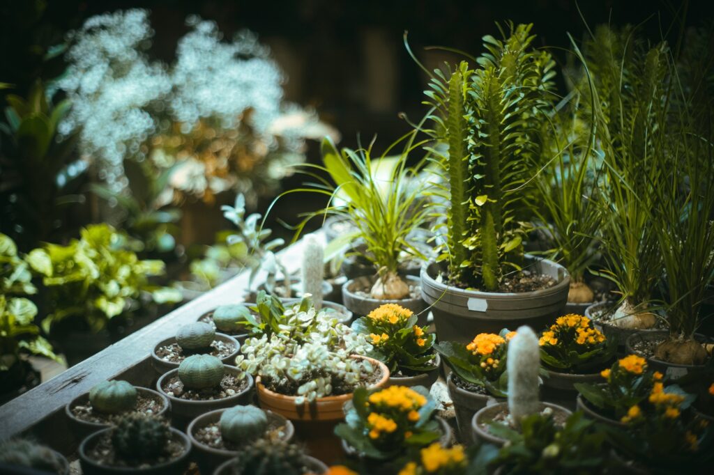 Exploring the Vego Garden Collection: Modular, Sustainable, and Stylish Raised Beds